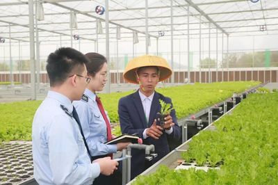 喜迎中国农民丰收节!看税务部门如何支持现代农业创新发展